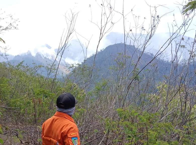 Gunung Wilis. (Foto: Istimewa)