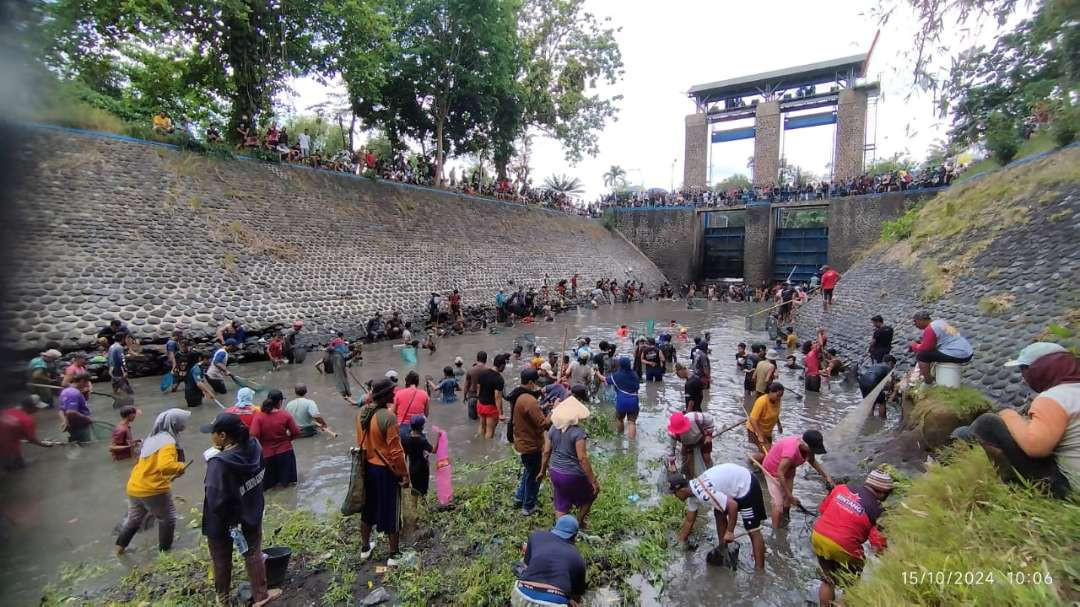 Ribuan warga mencari ikan di sekitar DAM Singir saat proses pengeringan (Foto : Muh Hujaini/Ngopibareng.id)