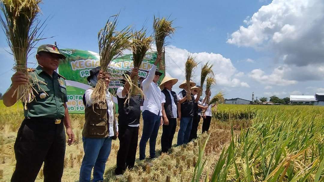 Panen padi dari program Mitra Tani yang dilaksanakan Perum Bulog (foto: Muh Hujaini)