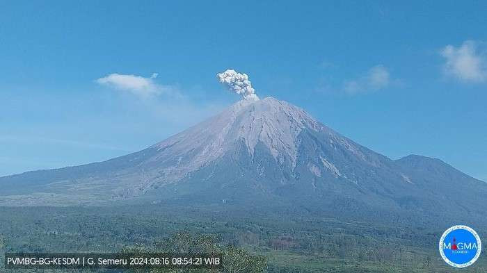 Gunung Semeru alami gempa guguran pada Sabtu 19 Oktober 2024. (Foto: dok.pvmbg)