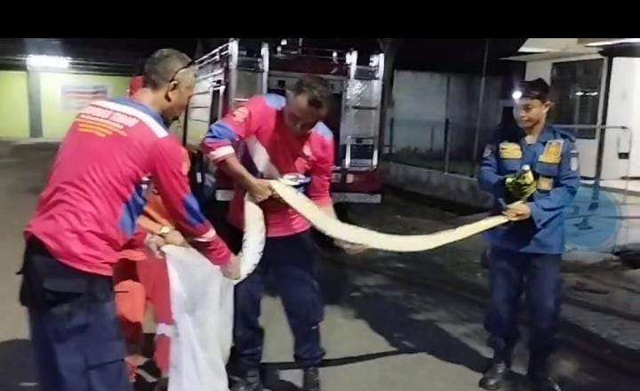 Petugas pemadam kebakaran Tuban mengevakuasi ular piton dari perumdin PT SG Tuban. (Foto: Damkar Tuban)