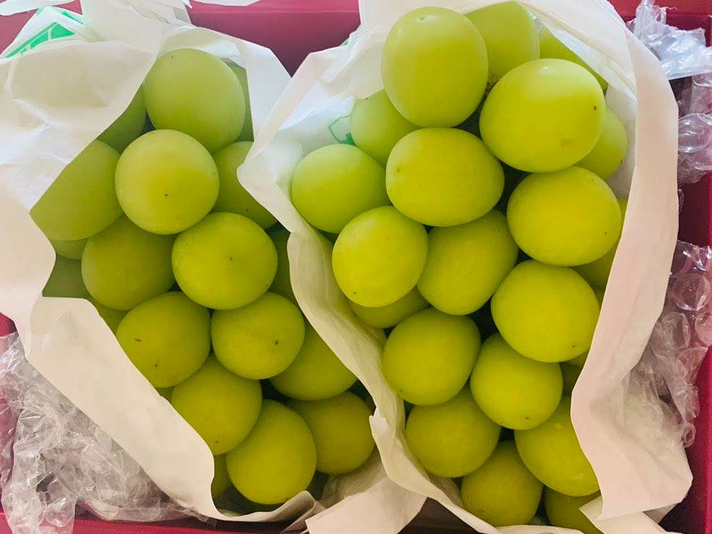 Thailand dan Malaysia menyelidiki kandungan berbahaya di buah anggur Shine Muscat. (Foto: Istimewa)