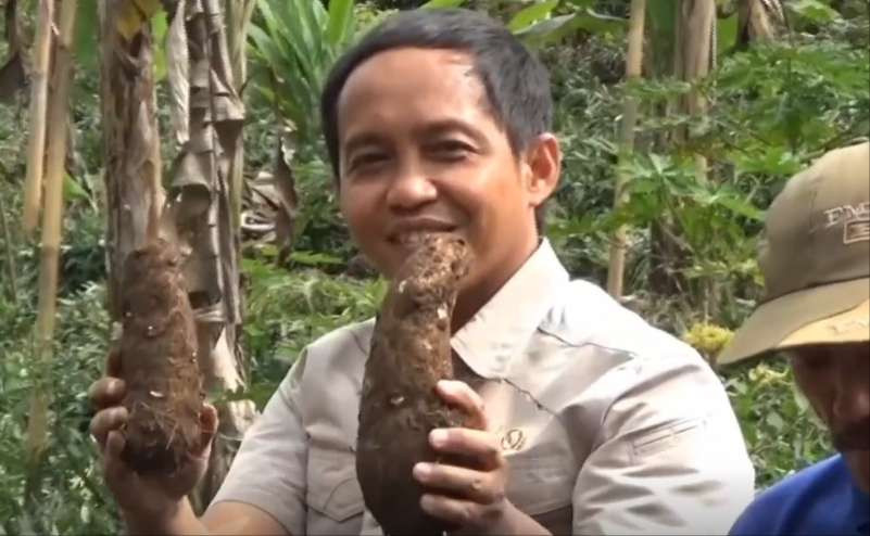 Menteri Kehutanan (Menhut) Raja Juli Antoni panen Kelompok Usaha Perhutanan Sosial (KUPS) Lumajang, Jawa Timur, Rabu 30 Oktober 2024. (Foto: Istimewa)