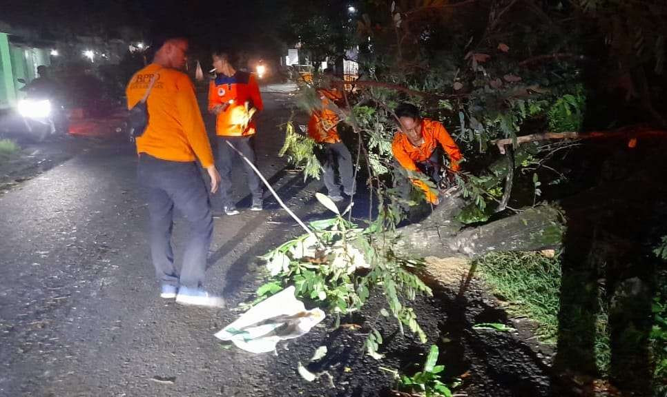 Petugas BPBD bersama TNI/Polri dan warga bergotong royong membersihkan pohon tumbang (Foto : Istimewa)