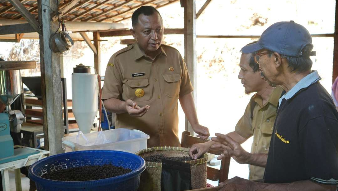 Pemkab Kediri Minta Petani Lereng Gunung Wilis Komitmen  Jaga Kualitas Hasil Produksi Kopi (istimewa)