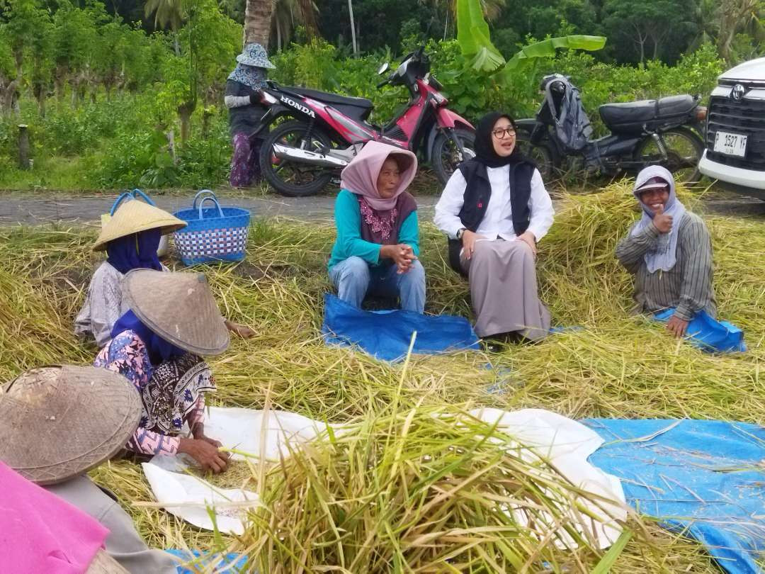 Calon Bupati Banyuwangi Ipuk Fiestiandani berbincang dengan petani (Foto : istimewa)