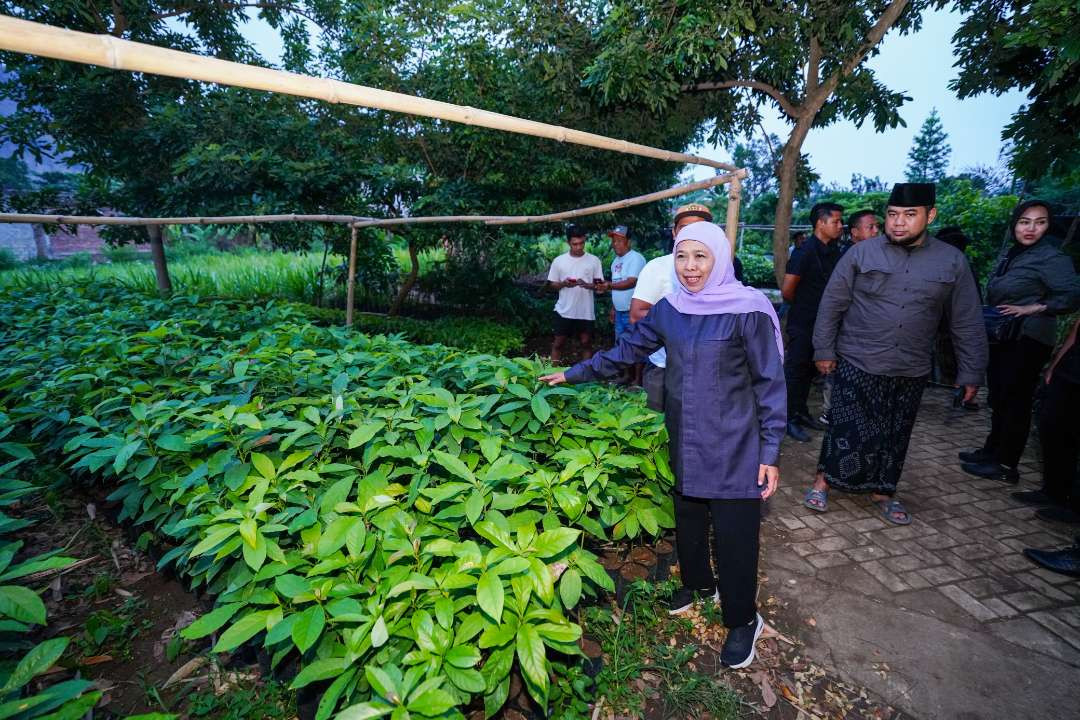 Calon Gubernur Jawa Timur, Khofifah Indar Parawansa di Kebun Pembibitan Buana Bakti RT 15 RW 5 Desa Kedung Lurah Kecamatan Pogalan Trenggalek, Jumat 1 November 2024. (Foto: Istimewa)