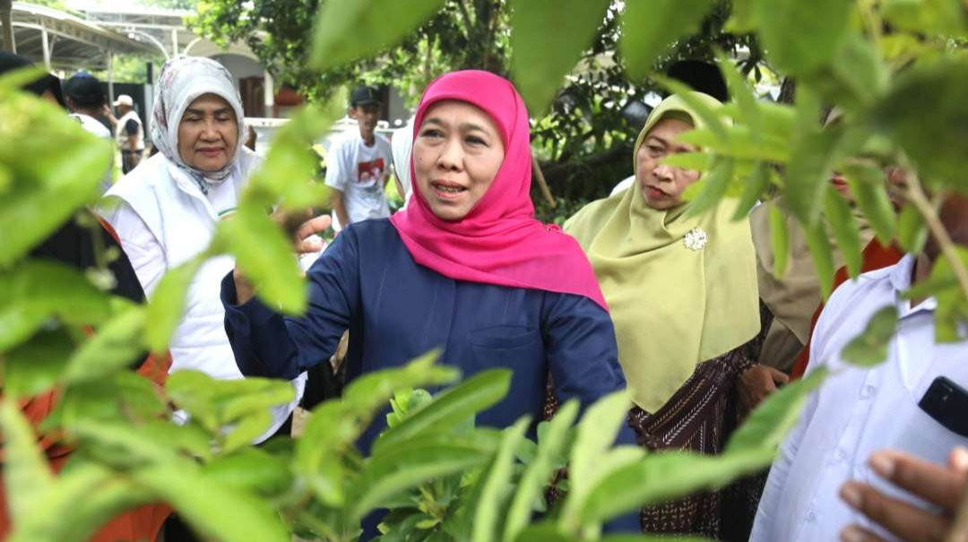 , Calon Gubernur Jawa Timur Khofifah Indar Parawansa dorong usaha bibit tanaman buah di Nganjuk ini jadi percontohan pengembangan kreativitas di bidang agrobisnis. (Foto: Istimewa)