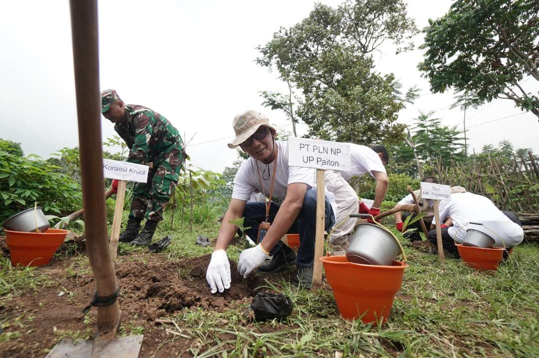 PLN Nusantara Power UP Paiton bersama Forkopimca Krucil saat menanam aren. (Foto: Istimewa)