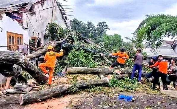 BPBD Bondowoso bersama Koramil dan Polsek Tamanan mengevakuasi pohon tumbang dan rumah rusak diterjang hujan angin di Desa Mengen, Kecamatan Tamanan. (Foto: Guido/Ngopibareng.id)