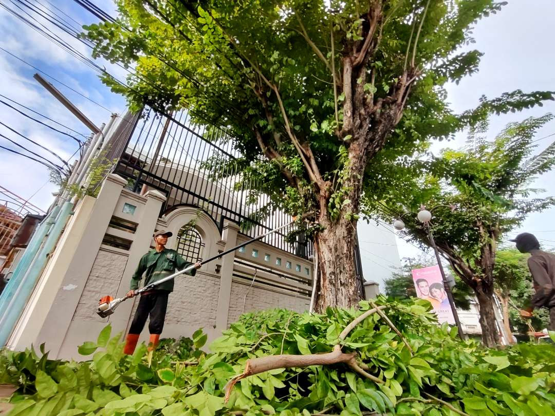 Proses perantingan yang dilakukan oleh Dinas Lingkungan Hidup (DLH) Kota Surabaya jelang musim penghujan tiba. (Foto: Humas Pemkot Surabaya)