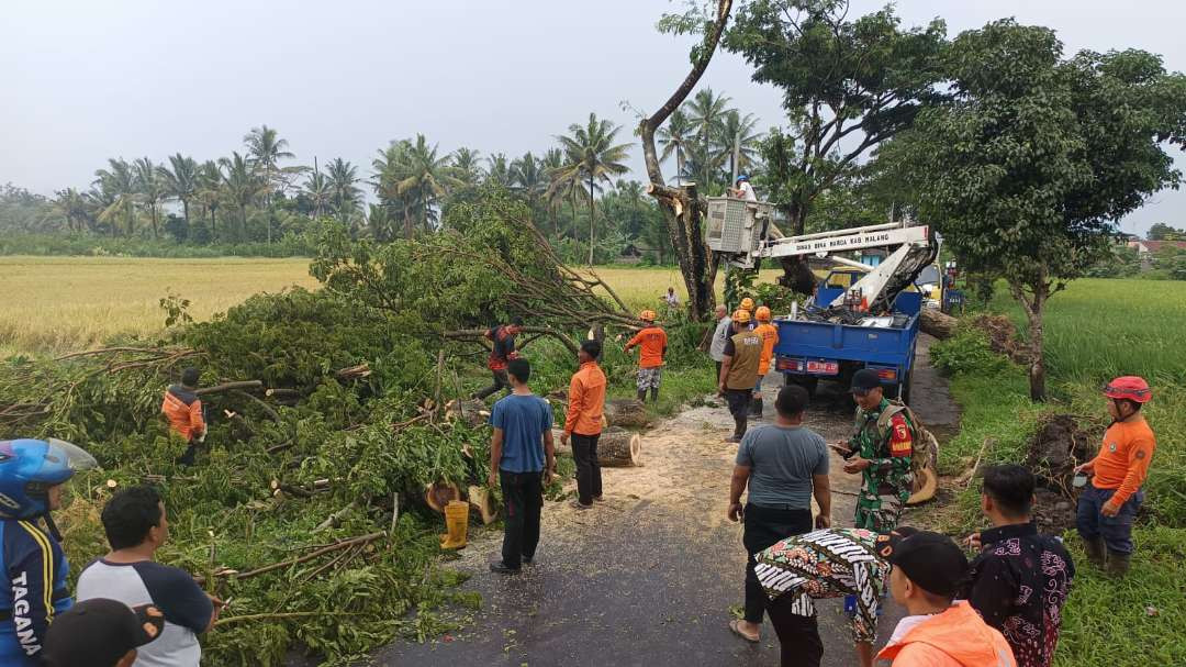 Pembersihan area terdampak pohon tumbang di Kepanjen (Foto: BPBD Kabupaten Malang)