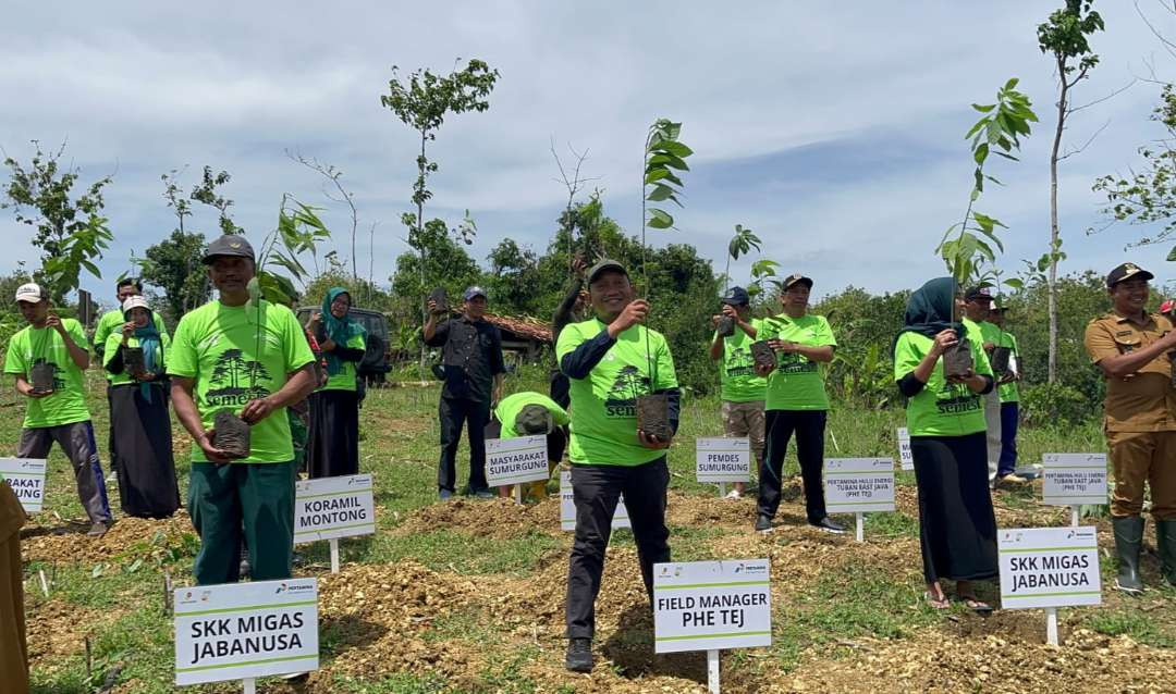 PHE TEJ bersama Pemdes dan masyarakat Desa Sumurgung, Kecamatan Montong, Tuban menanam 1.000 pohon alpukat. (Foto: Dok PHE TEJ)