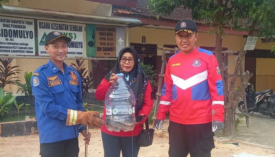 Evakuasi ular koros dihalaman SDN Desa Sidomulyo, Kecamatan Jatirogo, Tuban (dok. Damkar Tuban)