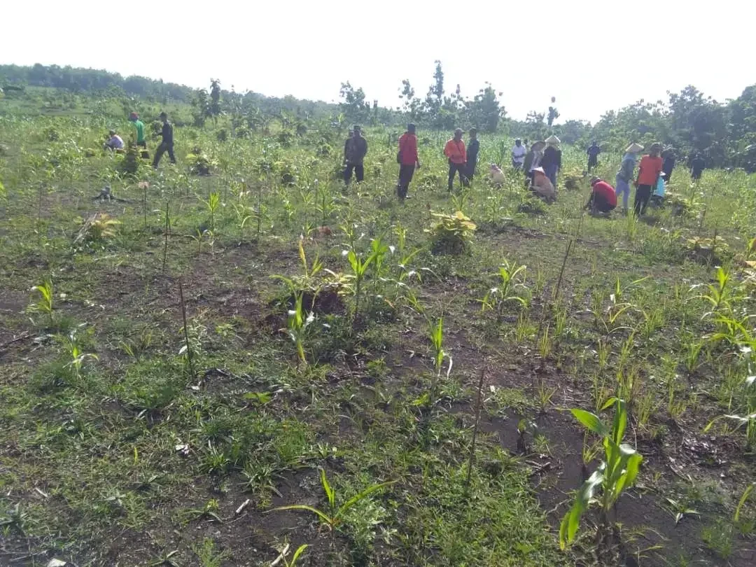 Warga menaman di hutan Petak 52-A1 di kawasan Dusun Besaran, Desa/Kecamatan Ngasem, Kabupaten Bojonegoro. (Foto dok: LMDH Ngasem Barokah)