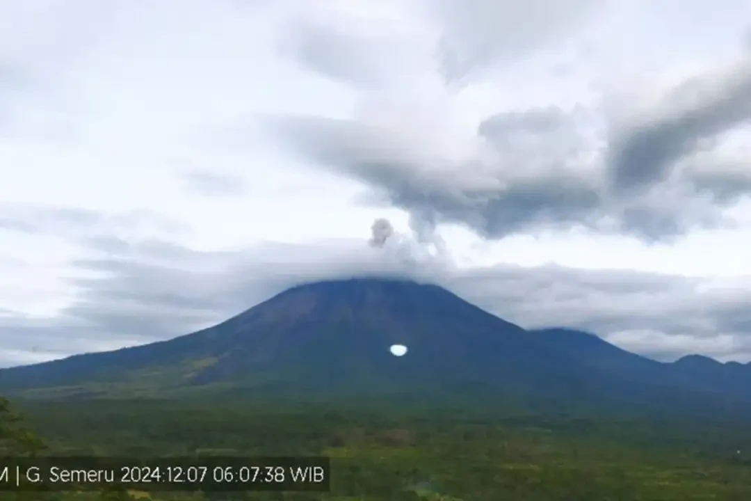 Gunung Semeru yang memiliki ketinggian 3.676 meter di atas permukaan laut (mdpl) mengalami erupsi terus-menerus dengan visual letusan tak teramati. (Foto: PVMBG)