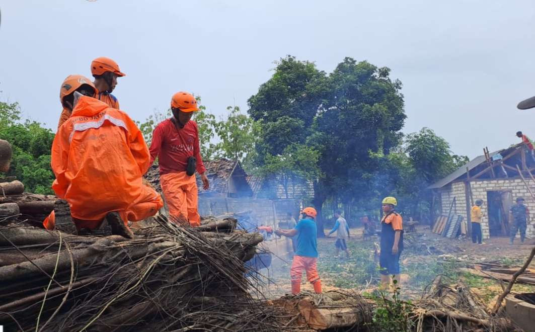 Tim reaksi cepat BPBD Kabupaten Tuban mengevakuasi pohon tumbang yang menimpa rumah warga (dok. BPBD Tuban)