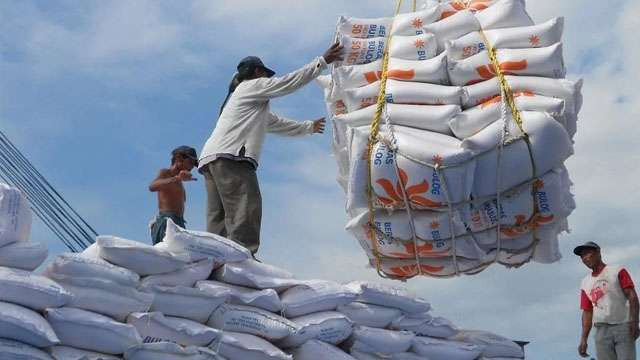 Indonesia menghentikan impor beras, kenapa tidak? Presiden Prabowo sudah menjanjikannya. (Foto:Ngopibareng.Id/Antara)