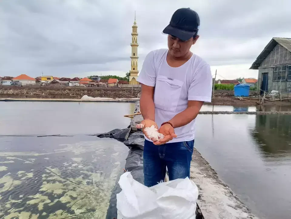 Curah hujan tinggi selama tiga hari yang mengguyur Probolinggo, mengakibatkan belasan hektare tambak garam gagal panen. (Foto: Ant)