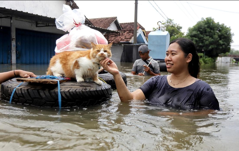 Banjir yang melanda wilayah Jombang belum juga surut hingga hari ke-6, Jumat 13 Desember 2024. 160 orang mengungsi. (Foto: X @xinhuaIndonesia)