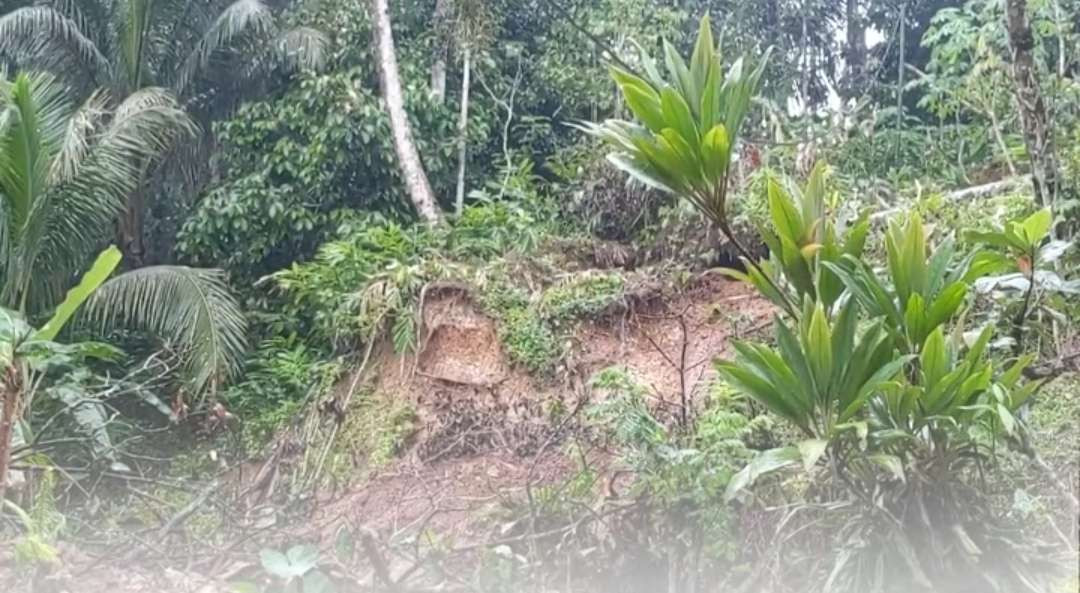 Musibah tanah longsor di Trenggalek, Jawa Timur, isolasi rumah warga. (Foto: Istimewa)