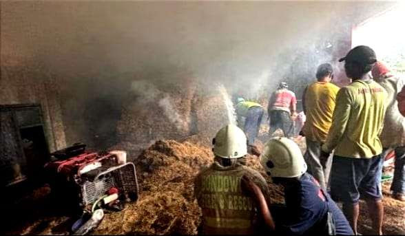 Petugas Damkar Bondowoso memadamkan gudang tembakau terbakar di Desa Pakuwesi, Kecamatan Curahdami, Selasa 31 Desember 2024. (Foto: Humas Satpol PP-Damkar Bondowoso)