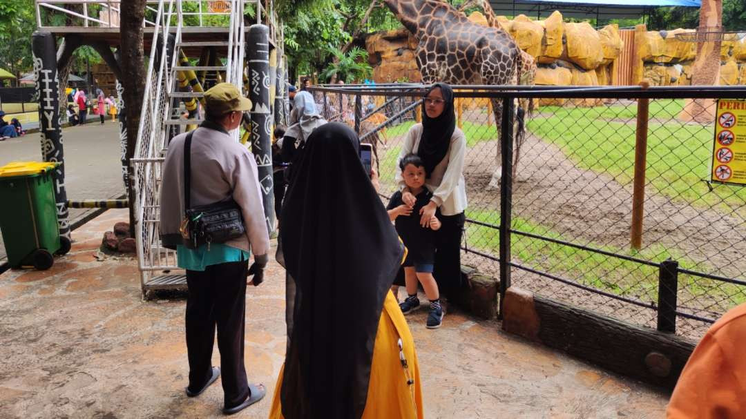 Pengunjung saat berfoto di area kandang Jerapah di Kebun Binatang Surabaya. (Foto: Fariz Yarbo/Ngopibareng.id)