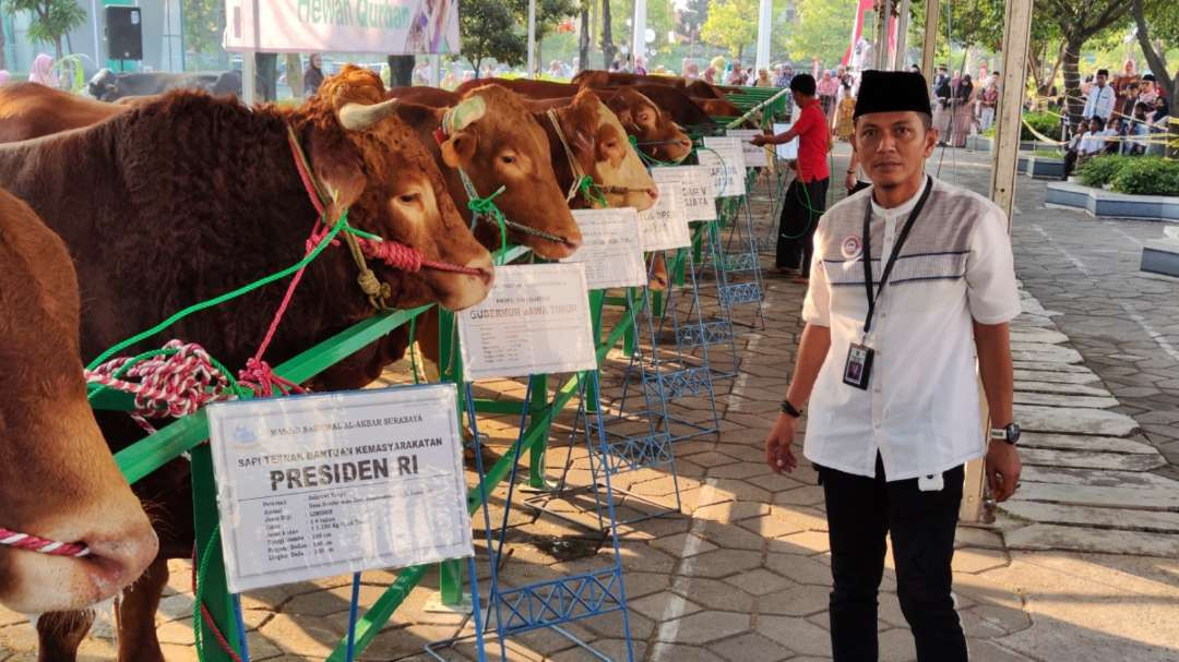 Ternak sapi yang dimanfaatkan sebagai hewan kurban. (Foto ilustrasi: Fariz Yarbo/Ngopibareng.id)