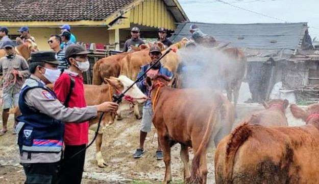 Petugas Disnakkan Situbondo menyemprotkan desinfektan di pasar hewan untuk memberantas penyebaran PMK. (Foto: Disnakkan Situbondo)