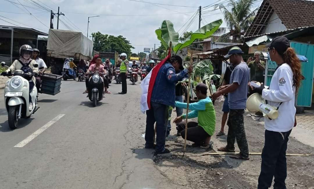 Warga melakukan penanaman pohon pisang di jalan rusak akibat truk odol (Foto: Rusdi/Ngopibareng.id)