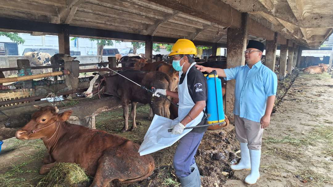 Dirut PD Rumah Potong Hewan (RPH) Kota Surabaya Fajar Iswandaru saat meninjau penyemprotan desinfektan terhadap hewan ternak di RPH Pegirian, Kamis 9 Januari 2025. (Foto: Julianus Palermo/Ngopibareng.id)