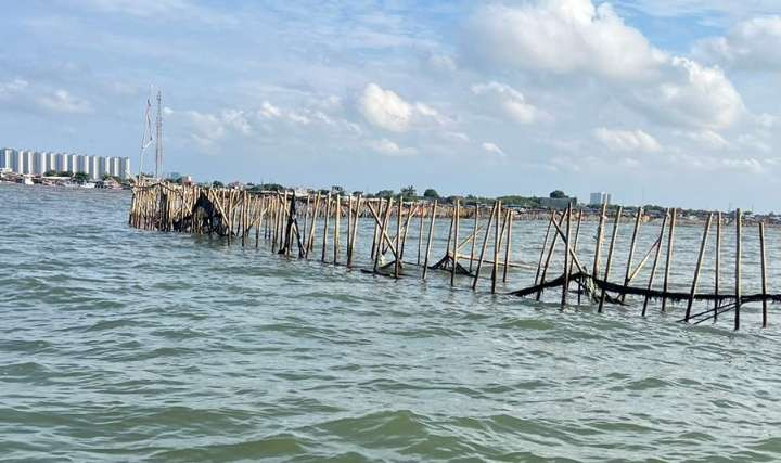 Pemagaran laut menggunakan  batang bambu  sepanjang 30 KM di perairan Tangerang, belum dikerahui pelakunya ( foto: istimewa)