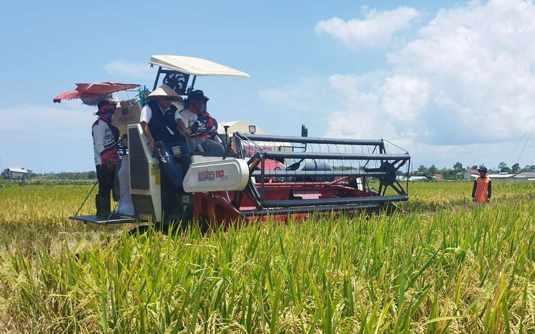 Proses panen padi di salah satu sawah di wilayah Banyuwangi (Foto: Muh Hujaini/Ngopibareng.id)