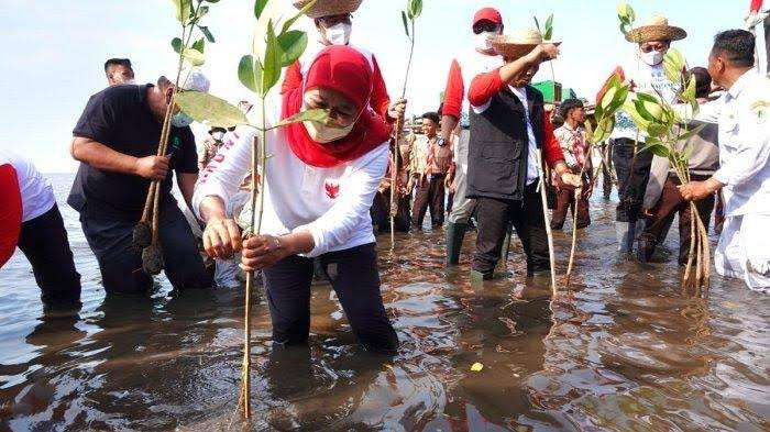 Khofifah Indar Parawansa mengajak masyarakat untuk lebih masif dalam menanam pohon sebagai bentuk 'sedekah oksigen'. (Foto: Dok Khofifah IP)