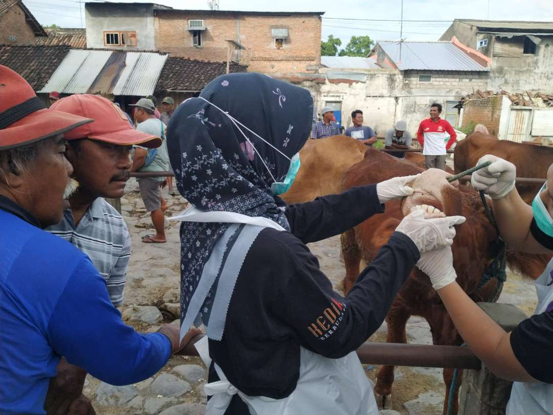 Pemerintah Kabupaten Kediri mulai Senin 13 Januari 2025 menutup sementara pasar hewan. (Foto: Istimewa)