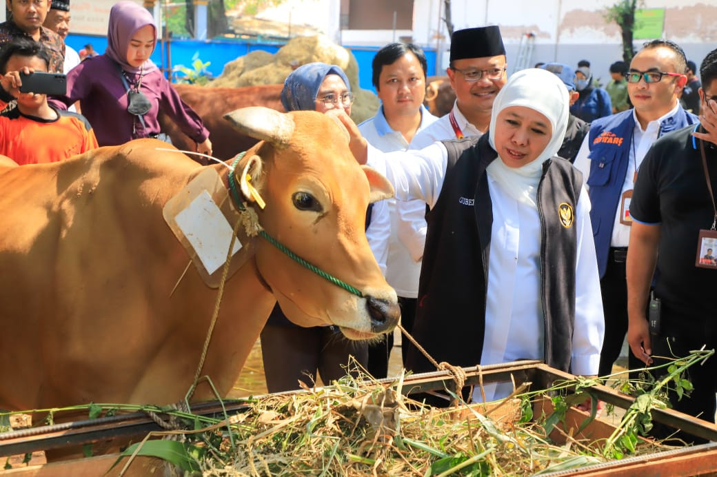 Gubernur Jawa Timur terpilih Khofifah Indar Parawansa menyampaikan apresiasi kepada seluruh pihak atas upaya penanganan PMK di Jatim. (Foto: Dok)