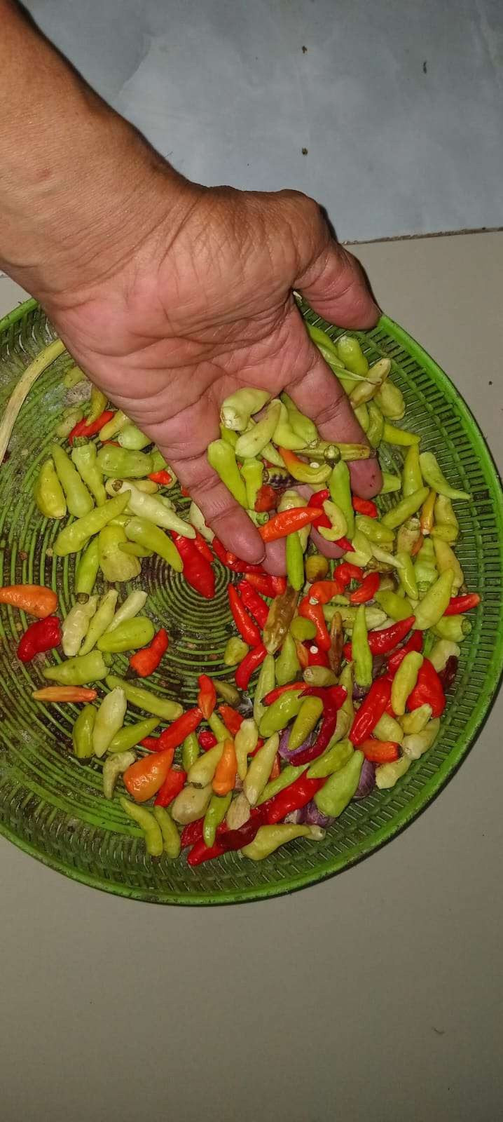 Cabai rawit, salah satu bumbu dapur yang kini harganya melejit di pasaran pada awal Ramadan, Senin 3 Maret 2025. (Foto: Sujatmiko/Ngopibareng.id)