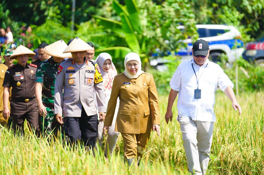 Gubernur Jawa Timur saat memimpin Panen Raya Padi Serentak 2025 di di Desa Kartoharjo, Kecamatan Ngawi, dengan total luas panen mencapai 5.500 hektare. (Foto: Pemprov Jatim)