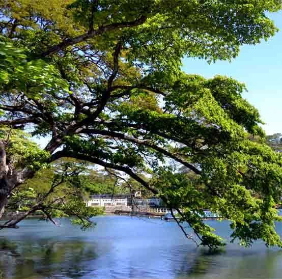 Sumber air dari Danau Ronggojalu di Kecamatan Leces menjadi pasokan utama air bersih untuk Kota Probolinggo. (Foto: Ikhsan Mahmudi/Ngopibareng.id)
