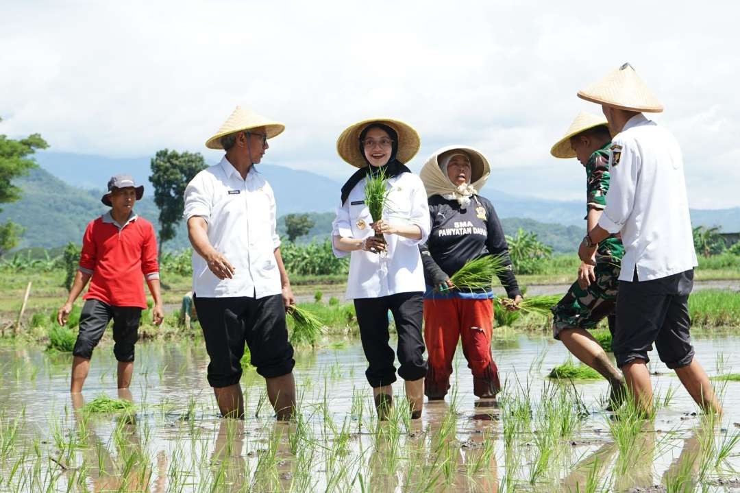 Gerakan tanam padi serentak di 14 provinsi se-Indonesia, juga dilakukan di Kota Kediri. Wali Kota Kediri Vinanda Prameswati bersama Forkopimda Kota Kediri turun langsung melakukan tanam padi di sawah. (Foto: Istimewa)