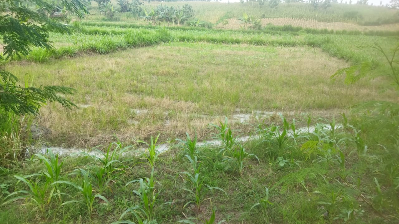 Lokasi pembungan limbah di Dusun Ngantru Desa Sekaran Kecamatan Kasiman. (Ahmad Sampurno/ ngopibareng.id)