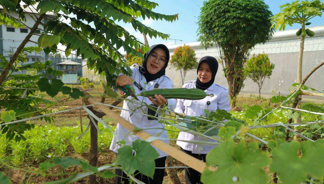 Karutan Perempuan Surabaya Panen Raya hortikultura (Foto: Aini Arifin/Ngopibareng.id)