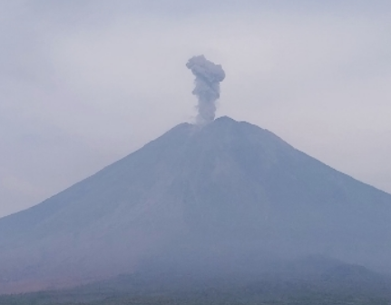 Gunung Api Semeru kembali mengalami erupsi pada Rabu, 31 Desember 2025, pagi.(Foto: dok/magma.esdm)