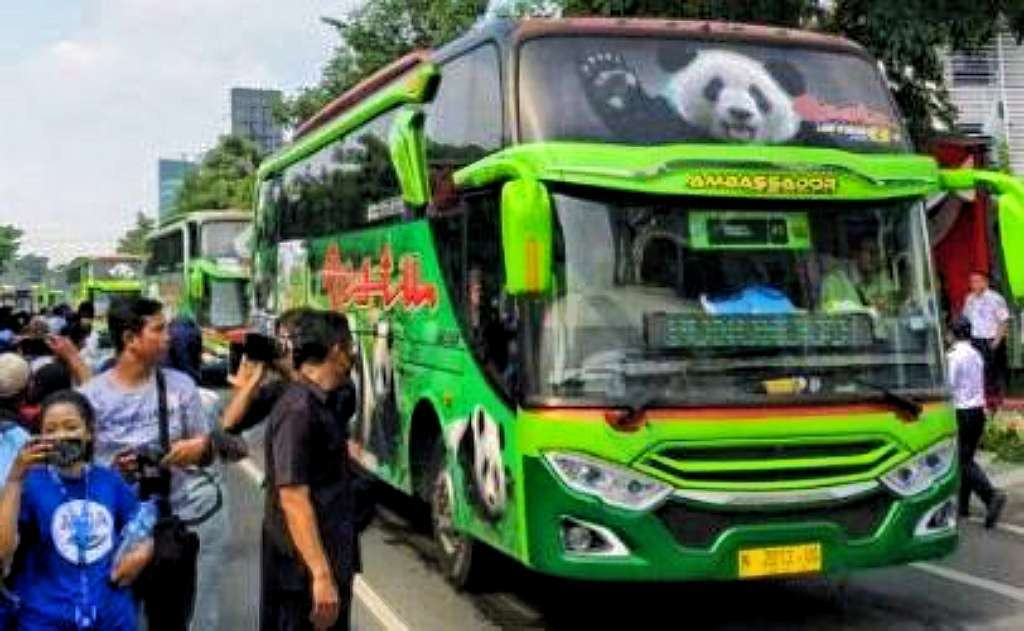 Bus mudik gratis Lebaran 2026 ditiadakan Pemkab Bondowoso sebagai dampak efisiensi anggaran daerah.(Foto: Istimewa)