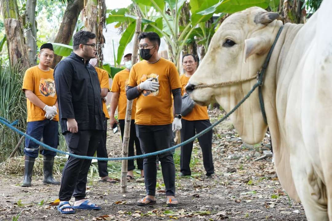 Dewan Pimpinan Cabang (DPC) PDI Perjuangan Kabupaten Kediri melakukan penyembelihan dan pendistribusian daging kurban di hari kedua Perayaan Iduladha 1447 Hijriah. (Foto: Istimewa)