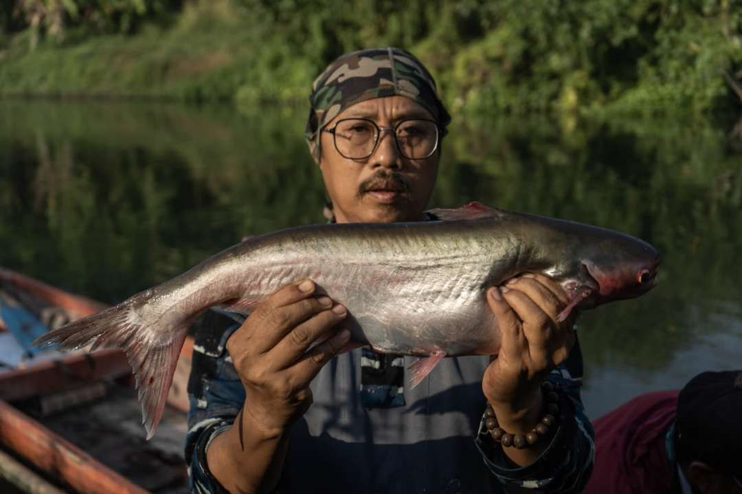 Prigi Arisandi salah satu peneliti dari Ecoton menunjukkan salah satu contoh ikan betina hasil tangkapan dari Kali Surabaya. (Foto: Ecoton)
