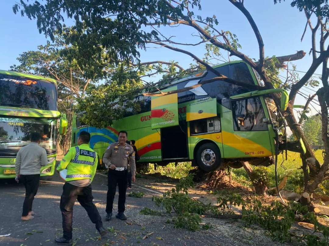 Petugas kepolisian dari Satlantas Polres Tuban melakukan olah TKP kecelakaan bus Gunung Harta di jalur Pantura Tuban (Foto: Polres Tuban)